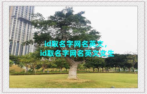 id取名字网名英文，id取名字网名英文女生