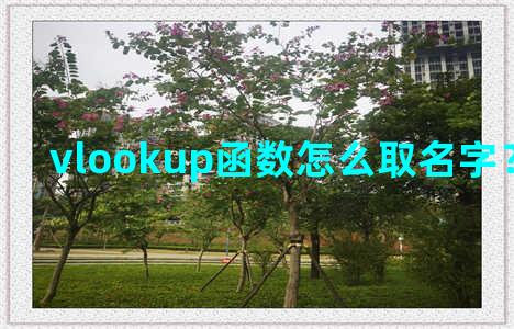 vlookup函数怎么取名字？vlookupname