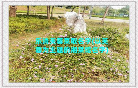 乐清芙蓉菜取名字(以芙蓉为主题的湘菜馆名字)