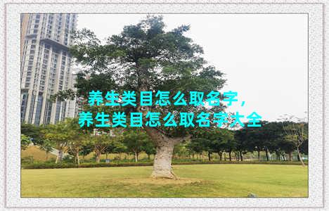 养生类目怎么取名字，养生类目怎么取名字大全