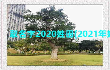 取名字2020姓田(2021年姓田的名字)