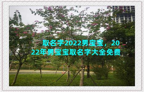 取名字2022男宝宝，2022年男宝宝取名字大全免费