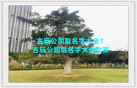 古玩公司取名字大全？古玩公司取名字大全女孩