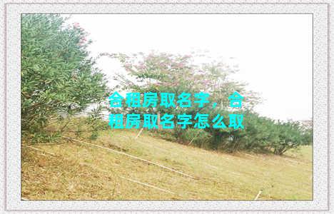 合租房取名字，合租房取名字怎么取