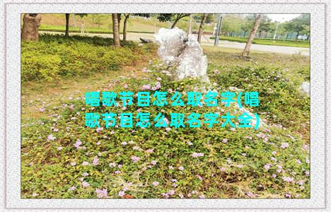 唱歌节目怎么取名字(唱歌节目怎么取名字大全)