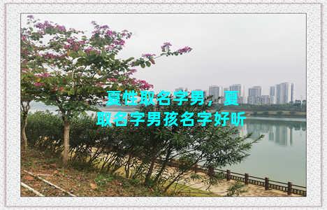 夏性取名字男，夏取名字男孩名字好听