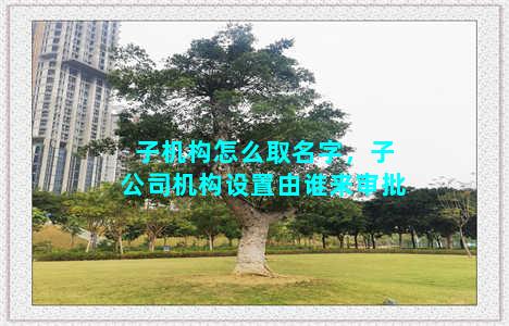 子机构怎么取名字，子公司机构设置由谁来审批