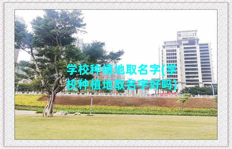 学校种植地取名字(学校种植地取名字好吗)