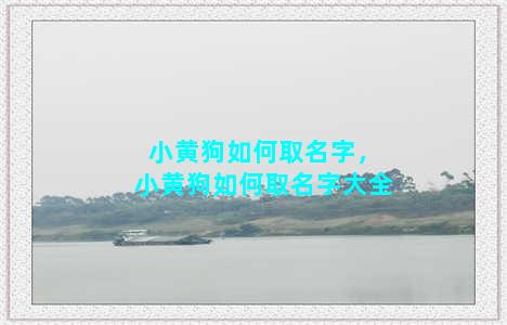 小黄狗如何取名字，小黄狗如何取名字大全