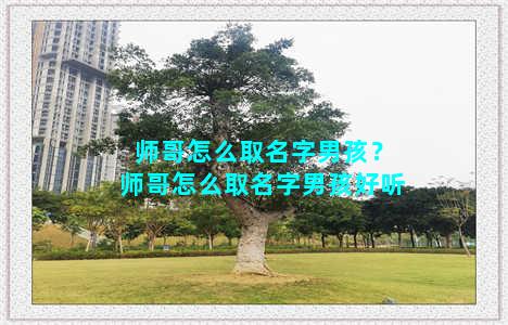 师哥怎么取名字男孩？师哥怎么取名字男孩好听