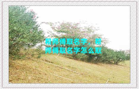 帮师傅取名字，帮师傅取名字怎么取