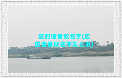 应的谐音取名字(应的谐音取名字怎么取)