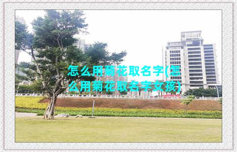 怎么用菊花取名字(怎么用菊花取名字女孩)