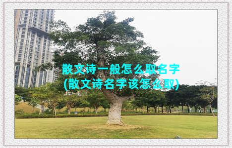 散文诗一般怎么取名字(散文诗名字该怎么取)