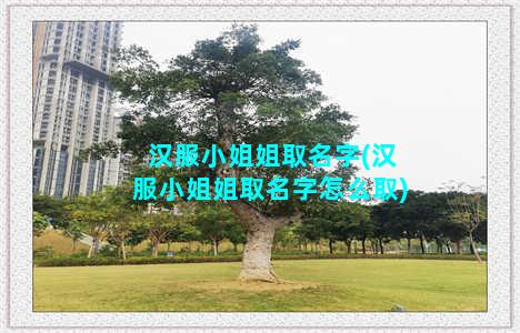 汉服小姐姐取名字(汉服小姐姐取名字怎么取)