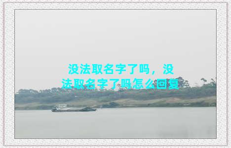 没法取名字了吗，没法取名字了吗怎么回复