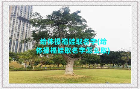 给体操福娃取名字(给体操福娃取名字怎么取)