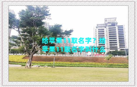 给苹果11取名字？给苹果11取名字叫什么