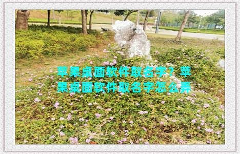 苹果桌面软件取名字？苹果桌面软件取名字怎么弄