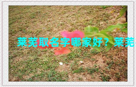 莱芜取名字哪家好？莱芜得名